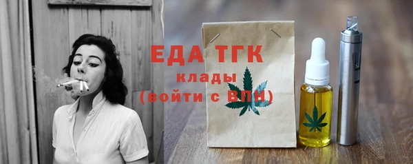 индика Дмитриев