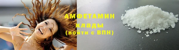 индика Дмитриев