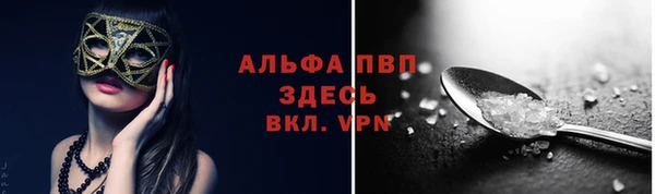 индика Дмитриев