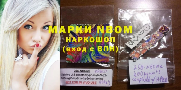 индика Дмитриев