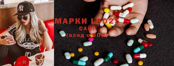 индика Дмитриев