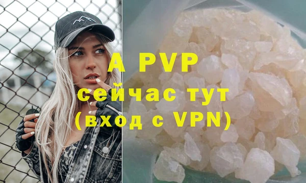 индика Дмитриев