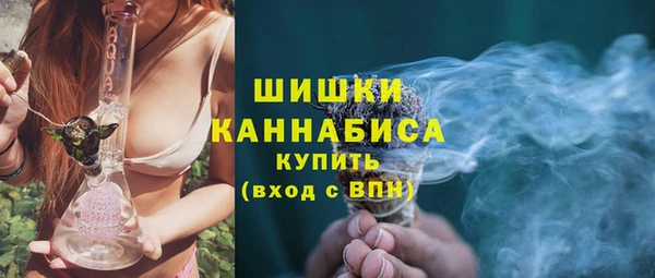 индика Дмитриев