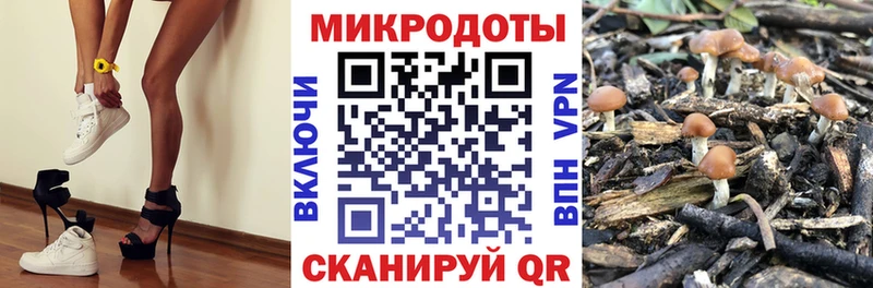 Галлюциногенные грибы мухоморы  Купить  Каргополь 